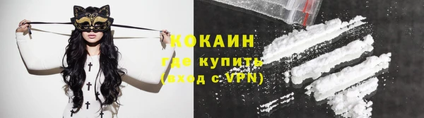 трава Новозыбков