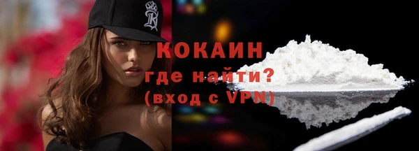 трава Новозыбков