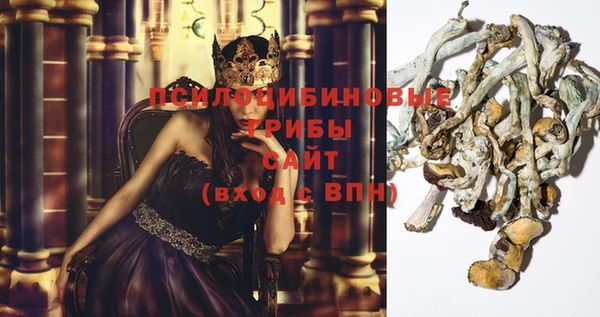 индика Нефтегорск