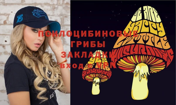индика Нефтегорск